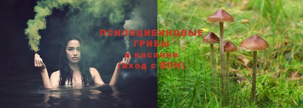 MDMA Богородицк