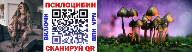 блэк спрут ССЫЛКА Каменск-Уральский Галлюциногенные грибы Psilocybine cubensis